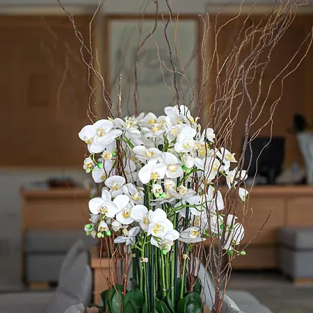 Nissaki Boutique 5*