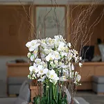 Nissaki Boutique 5*