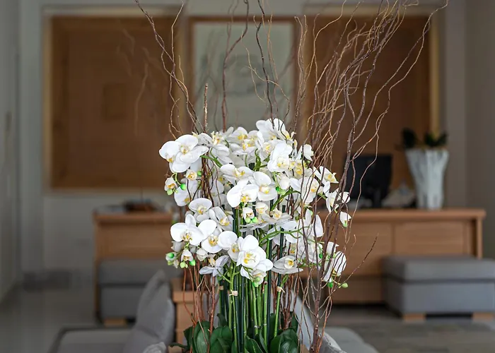 尼萨基精品酒店 5*